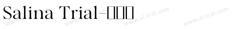 Salina Trial字体转换
